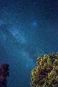 night-sky-milky-way-space-984327.jpg