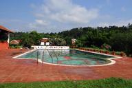 swimming-pool-pool-ammathi-kodagu-346479.jpg