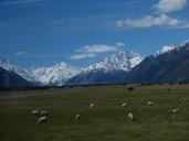 new-zealand-nature-landscape-215726.jpg