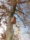 birdhouse-bird-s-house-house-wood-314632.jpg