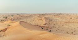 desert-sand-dune-emirates-nature-1191114.jpg