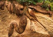 fossil-sandstone-ancient-crocodile-635079.jpg