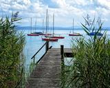 web-boardwalk-water-nature-lake-931517.jpg