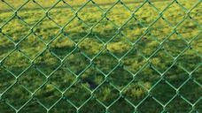 fence-wire-mesh-fence-green-229434.jpg