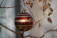 christmas-decor-winter-holiday-1040237.jpg