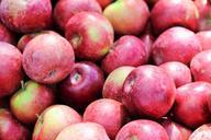 apples-fruit-food-healthy-red-545808.jpg