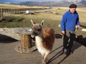 argentina-patagonia-el-calafate-905236.jpg