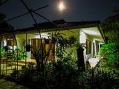 full-moon-night-home-garden-229629.jpg