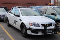 Washington_State_Patrol_Chevy_Caprice_(929).jpg