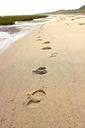 beach-footprints-north-sea-sand-201212.jpg