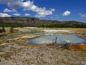 yellowstone-national-park-wyoming-215181.jpg