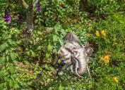 elephant-statue-sculpture-green-648407.jpg