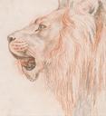 Head_of_a_Lion_-_Google_Art_Project.jpg