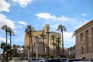 las-vegas-mandalay-palm-trees-655865.jpg