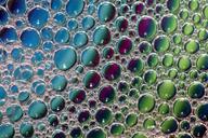 bubbles-macro-liquid-decorative-1481107.jpg