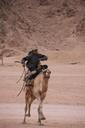 camel-riding-egypt-sinai-desert-245020.jpg