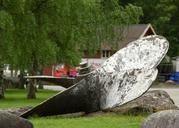 norway-flam-propeller-huge-old-288170.jpg