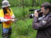 Camerman films release of captively grown bog turtles.jpg