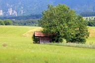 barn-hut-field-meadow-tree-nature-402902.jpg