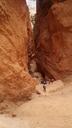 gorge-canyon-descent-bryce-canyon-234164.jpg