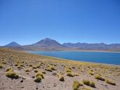 chile-desert-steppe-lake-1697197.jpg