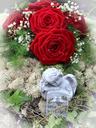 red-roses-rose-angel-symbol-love-297961.jpg