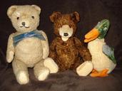 toys-teddy-bear-plush-bear-plush-506285.jpg