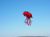 dragons-octopus-squid-red-767321.jpg