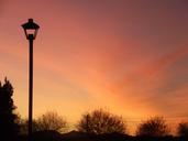 sunset-silhouette-trees-lamp-17616.jpg