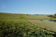 grassland-countryside-landscape-377719.jpg