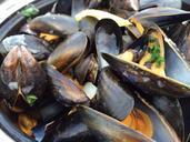 mussels-seafood-south-sea-410196.jpg