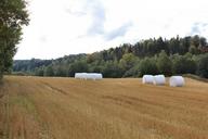 farmland-field-hay-bales-forest-189386.jpg