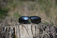 sunglasses-tree-stump-mirroring-1270048.jpg