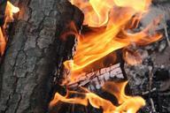 fire-campfire-flame-burn-blaze-276114.jpg