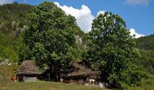 farm-landscape-natural-cows-trees-481741.jpg