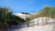 dune-sand-dune-sand-811322.jpg