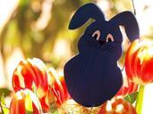 easter-bunny-easter-rabbit-customs-741816.jpg