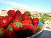 strawberry-berry-red-appetizing-185514.jpg