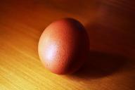 egg-still-life-meditation-calm-664256.jpg