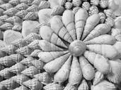 shells-sea-ocean-nature-marine-770554.jpg