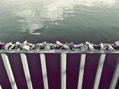 castles-grid-bridge-padlock-love-770727.jpg