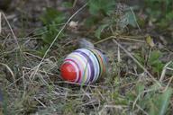 easter-egg-meadow-spring-311756.jpg