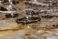 bubbles-bubble-water-macro-drop-51675.jpg