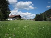 meadow-home-nature-clouds-field-604422.jpg