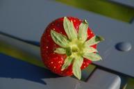 strawberry-fruit-flavor-116988.jpg