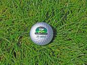 golf-ball-golf-ball-rush-grass-313188.jpg