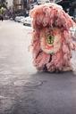 costume-feathers-pink-urban-fur-349777.jpg