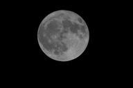 full-moon-moonlight-night-round-324599.jpg