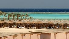 egypt-marsa-alam-reef-ocean-sea-329067.jpg