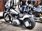 harley-harley-davidson-motorcycle-597613.jpg